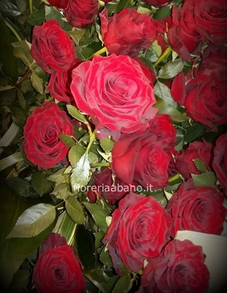 Rose rosse a stelo extra